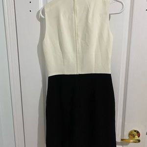 Business Casual B&W Drese